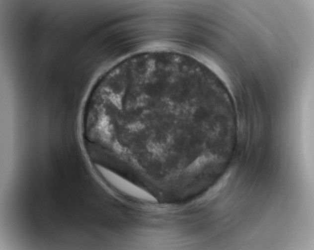 X0000095921045200802081109