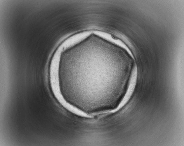 X0000095921048200802081109