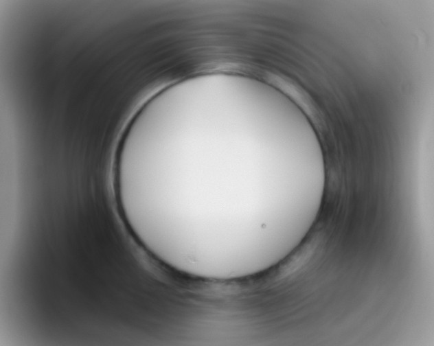 X0000095921050200802081109