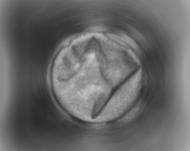 X0000095921055200802081109