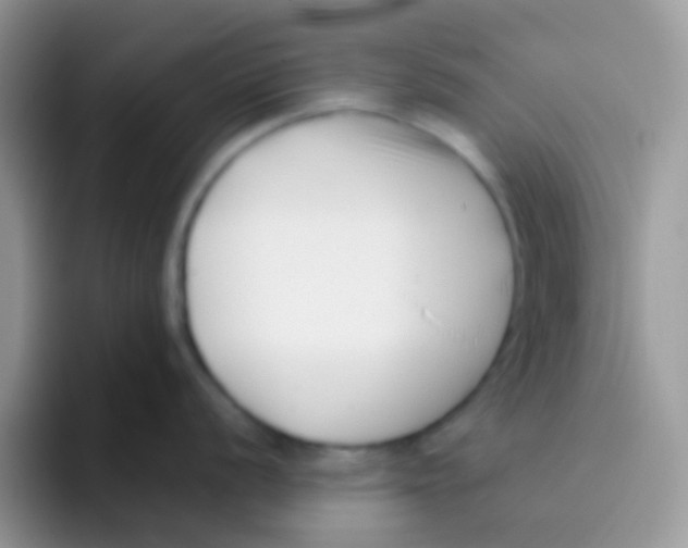 X0000095921056200802081109