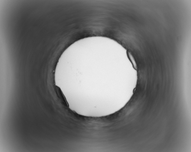 X0000095921057200802081109