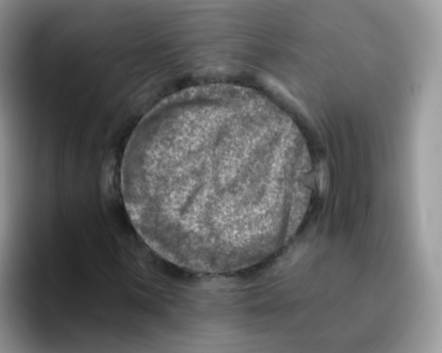 X0000095921059200802081109