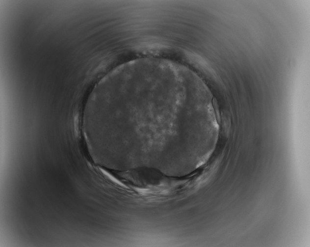 X0000095921060200802081109