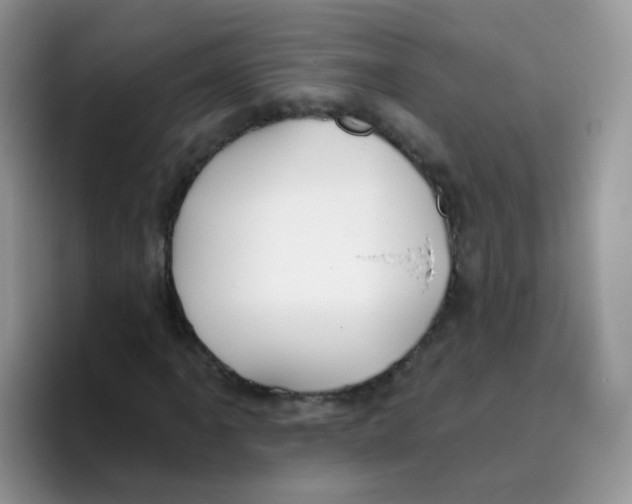 X0000095921061200802081109