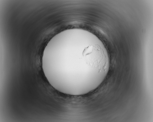 X0000095921062200802081109