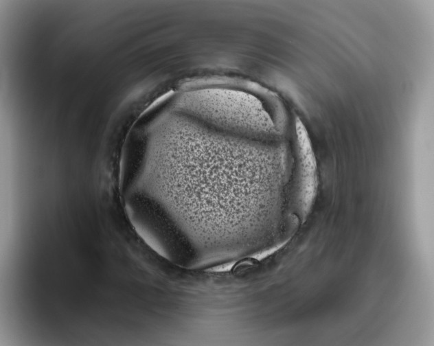 X0000095921064200802081109