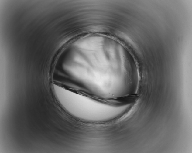 X0000095921065200802081109