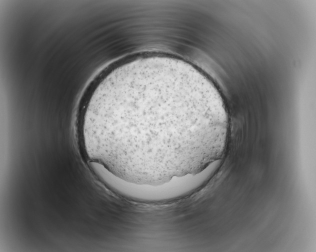 X0000095921068200802081109