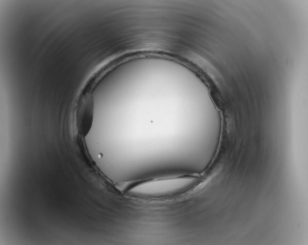 X0000095921069200802081109