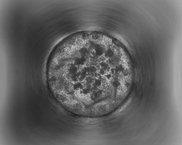 X0000095921071200802081108