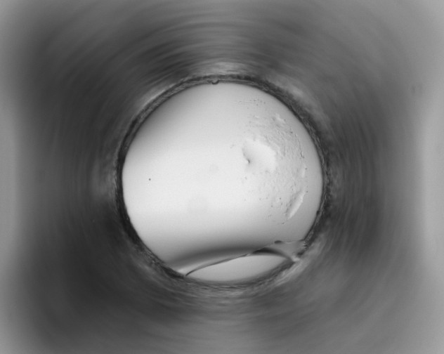 X0000095921073200802081108