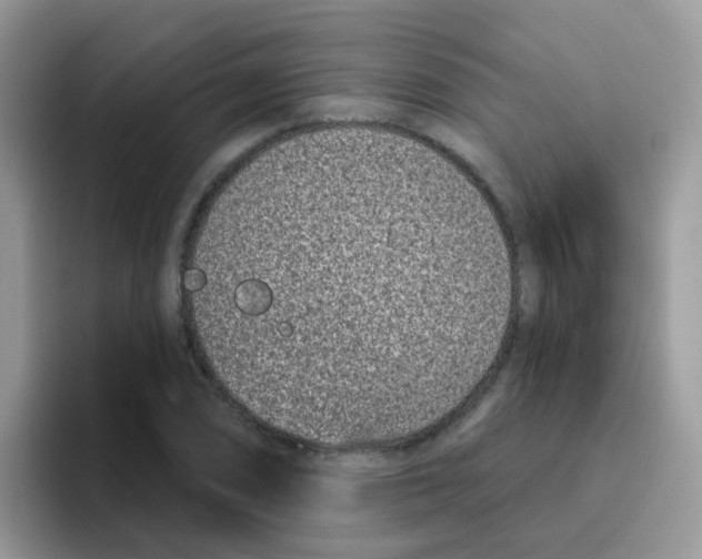 X0000095921074200802081108