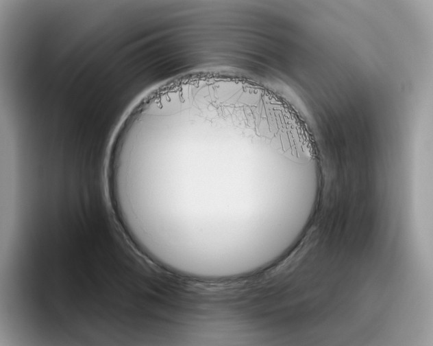 X0000095921076200802081108