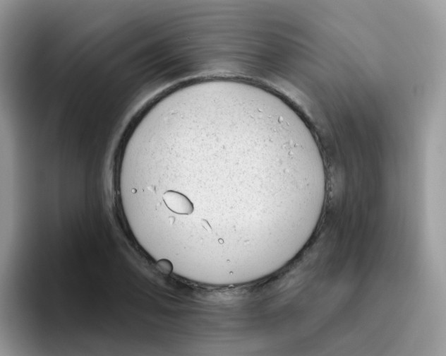 X0000095921078200802081108