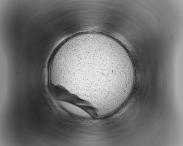 X0000095921079200802081108