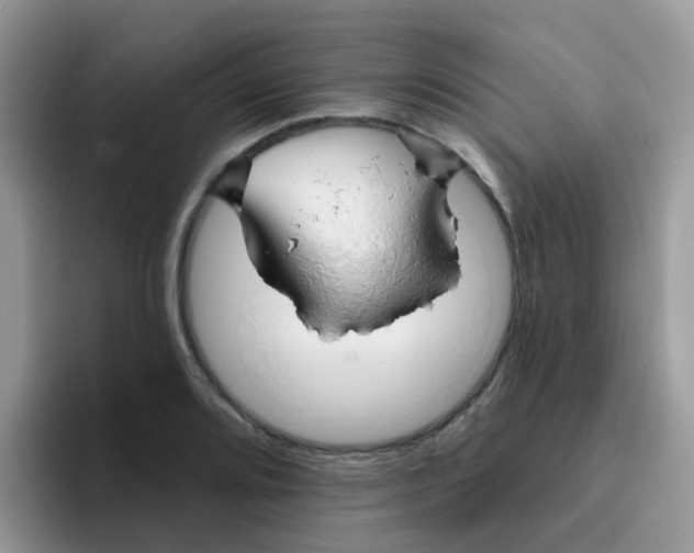 X0000095921080200802081108