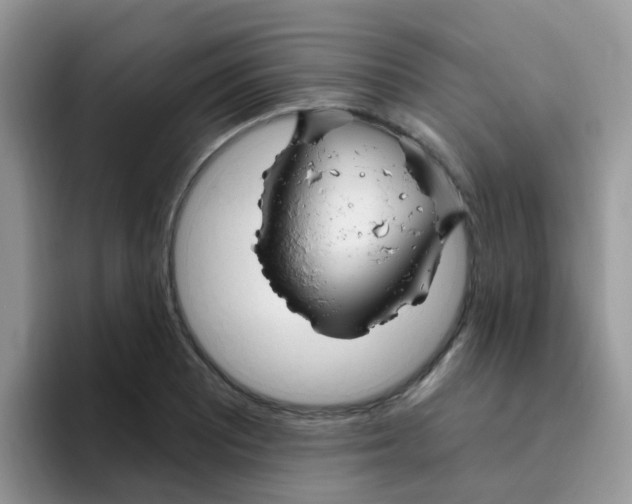 X0000095921081200802081108