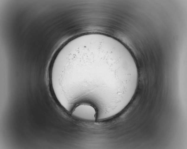 X0000095921082200802081108