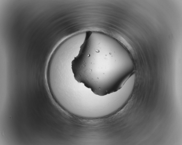 X0000095921084200802081108