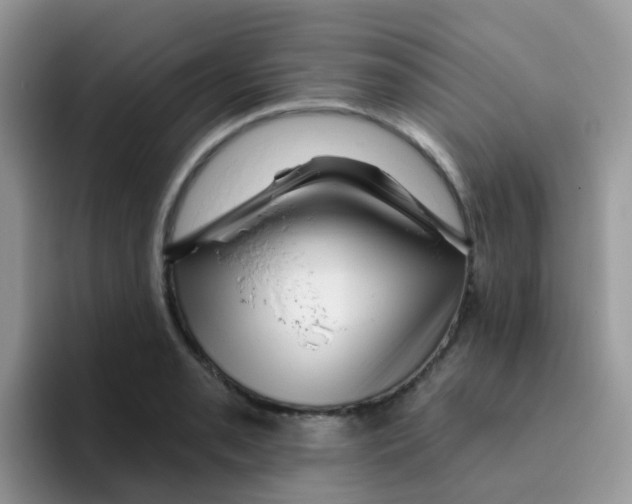 X0000095921085200802081108