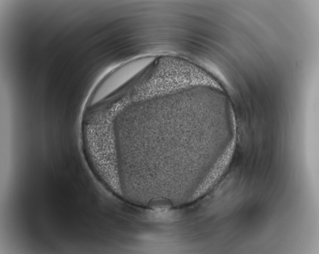 X0000095921087200802081108