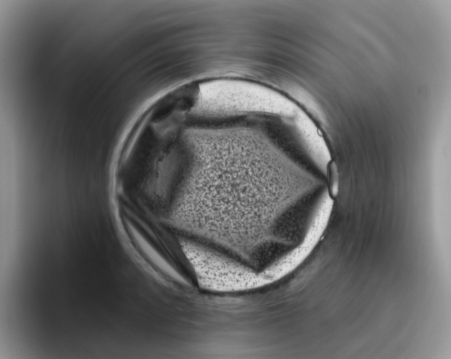 X0000095921088200802081108