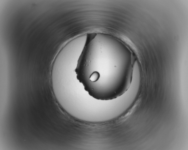 X0000095921089200802081108