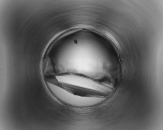 X0000095921092200802081108