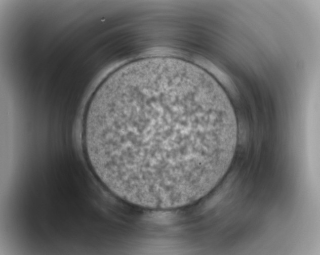 X0000095921094200802081108