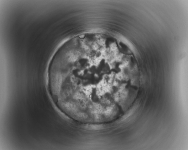 X0000095921095200802081108