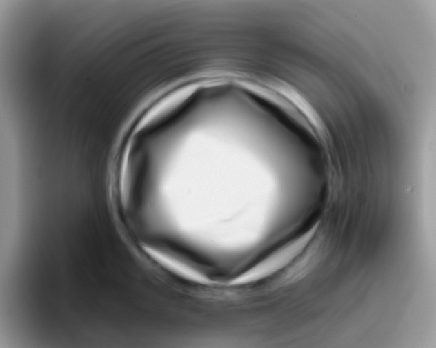 X0000095921101200802081108