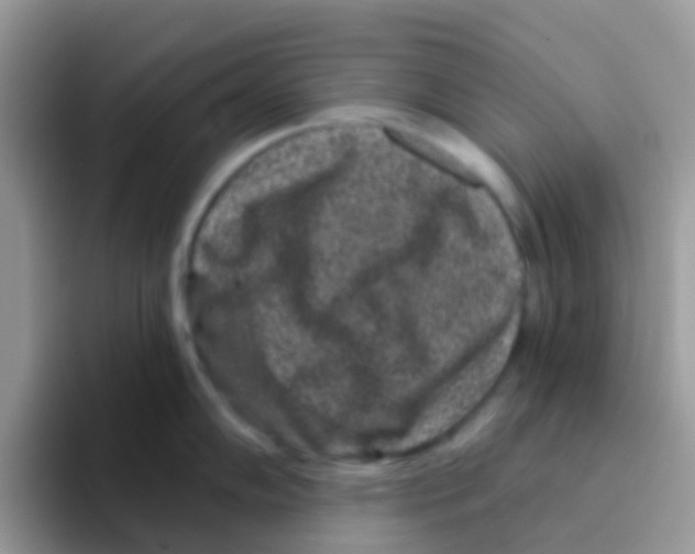 X0000095921102200802081108