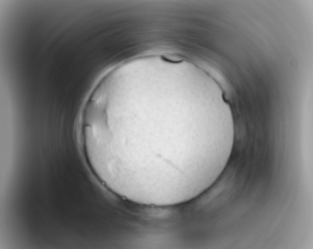 X0000095921103200802081108