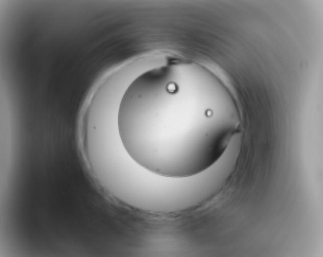 X0000095921104200802081108