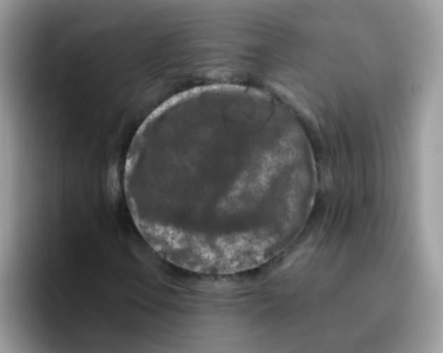 X0000095921106200802081107