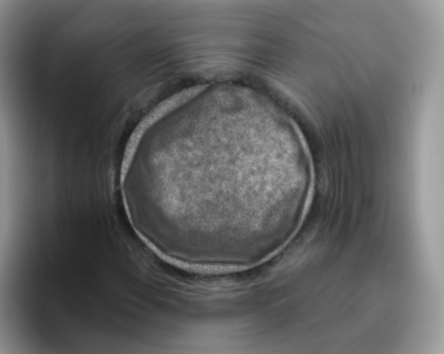 X0000095921108200802081107