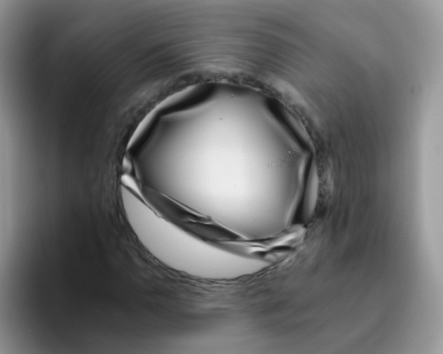 X0000095921110200802081107