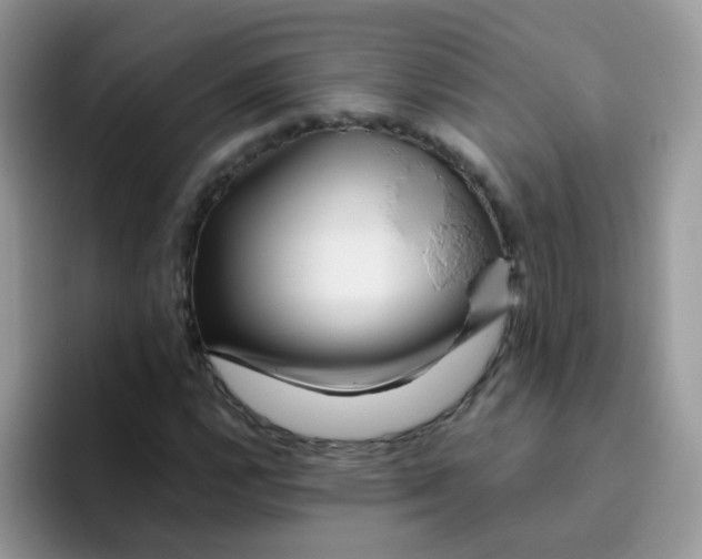 X0000095921112200802081108