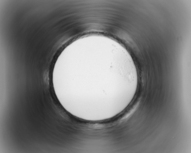 X0000095921113200802081108