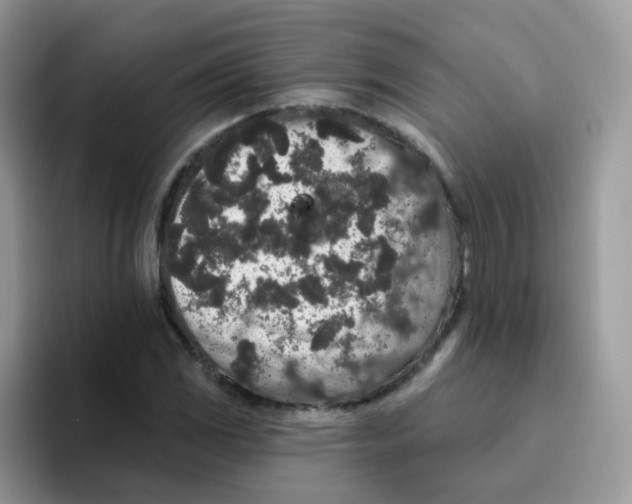 X0000095921117200802081108