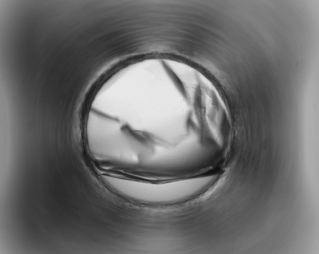 X0000095921118200802081108