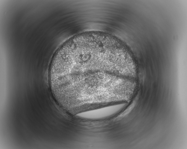 X0000095921121200802081108