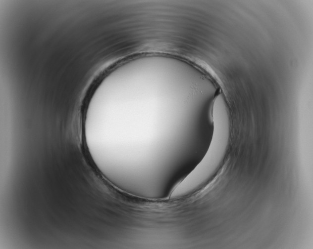 X0000095921123200802081108