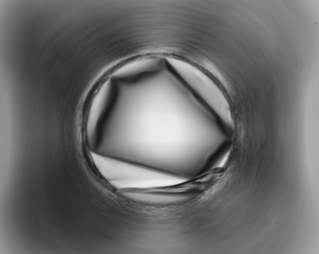 X0000095921124200802081108