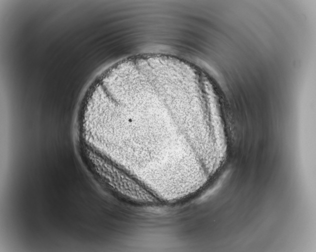 X0000095921125200802081108