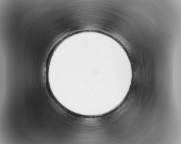 X0000095921126200802081108