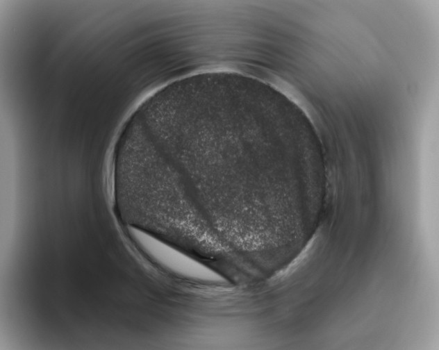 X0000095921127200802081108