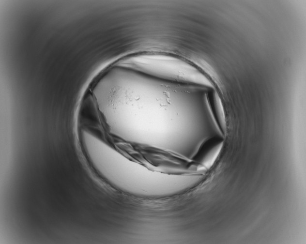 X0000095921128200802081108