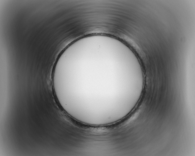 X0000095921129200802081108